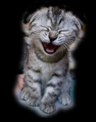 gat ou rahou yedhak !!!