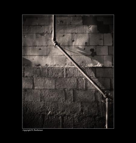 conseille aprobo la vie